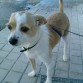 canelita wapaaaaaa